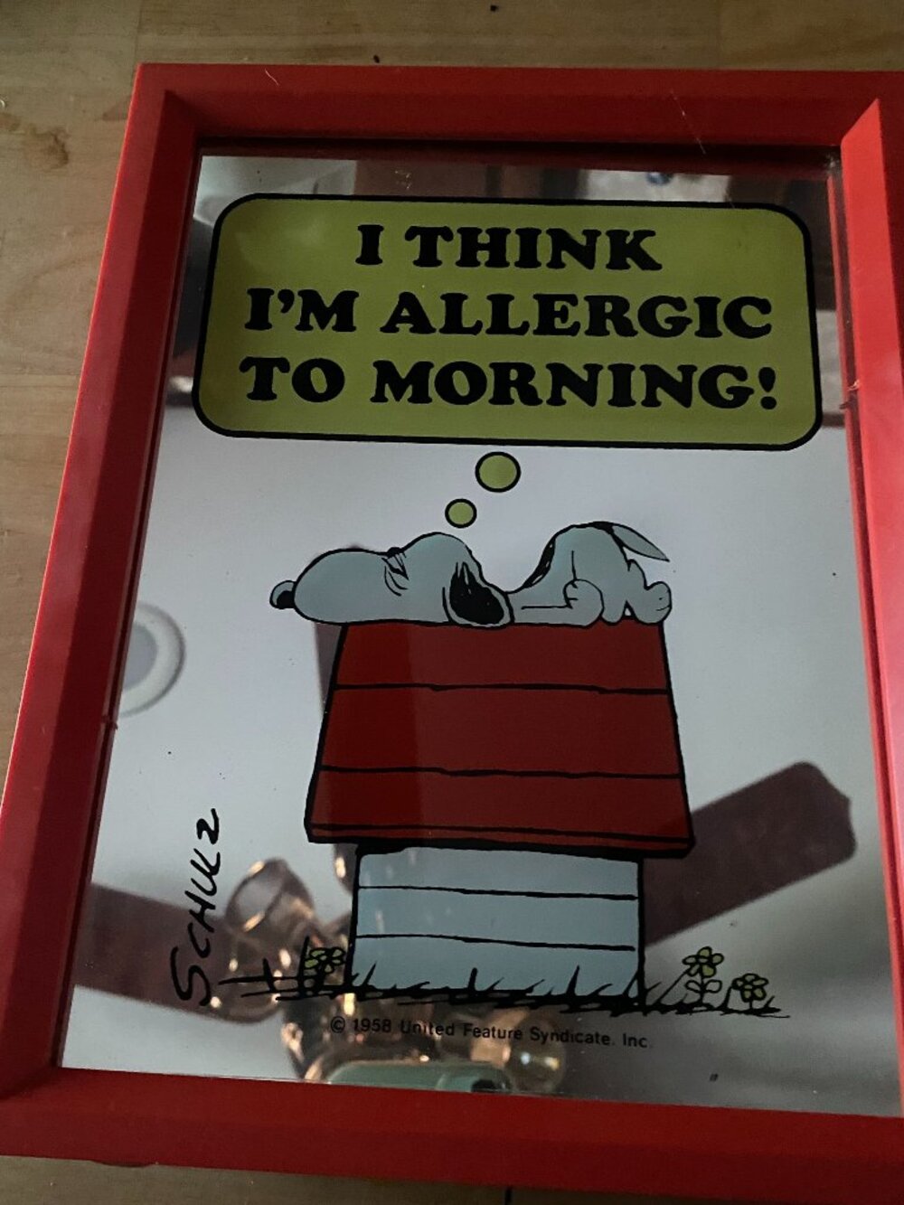 Vintage 70s Peanuts Snoopy I Think I’m Allergic to Mornings mirror 8 x 10 inch